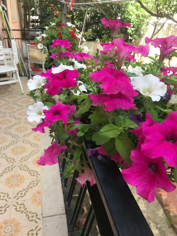 Simple And Very Nice Olbia Extérieur photo
